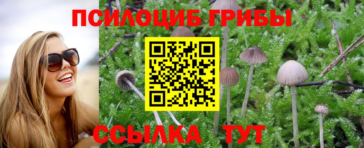 Псилоцибиновые грибы мухоморы Приморско-Ахтарск